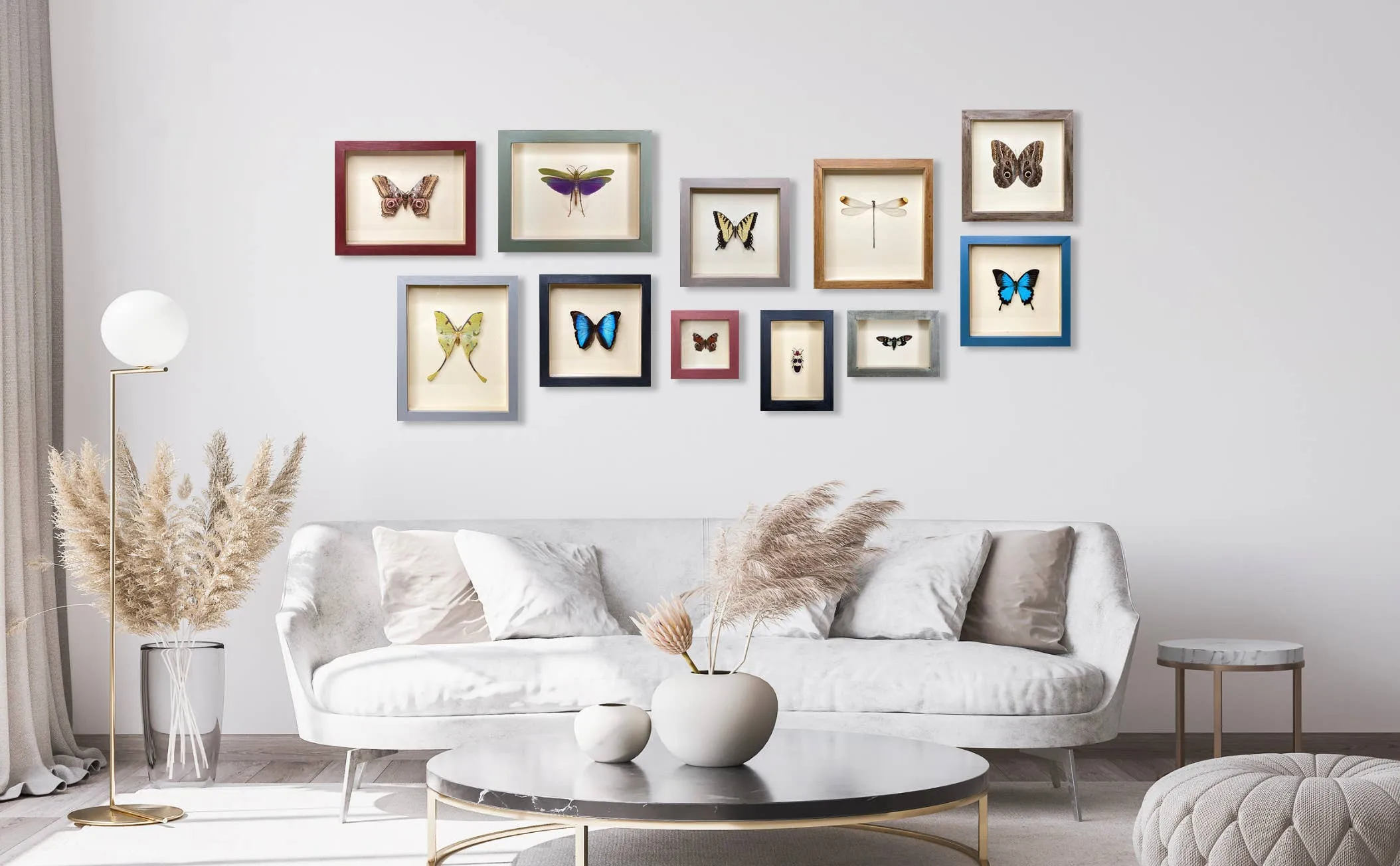 Beyer's Scarab Shadowbox