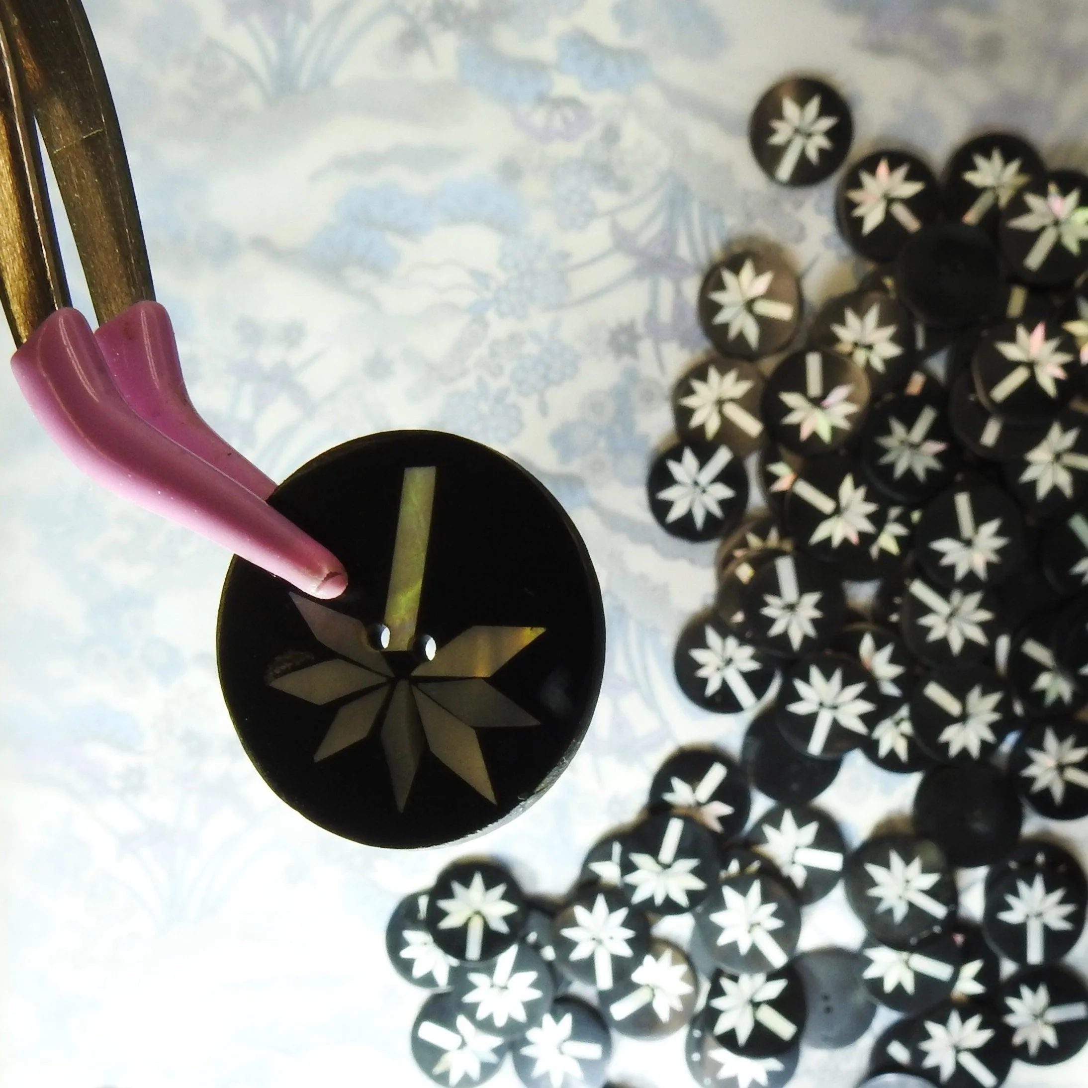 Black shell buttons