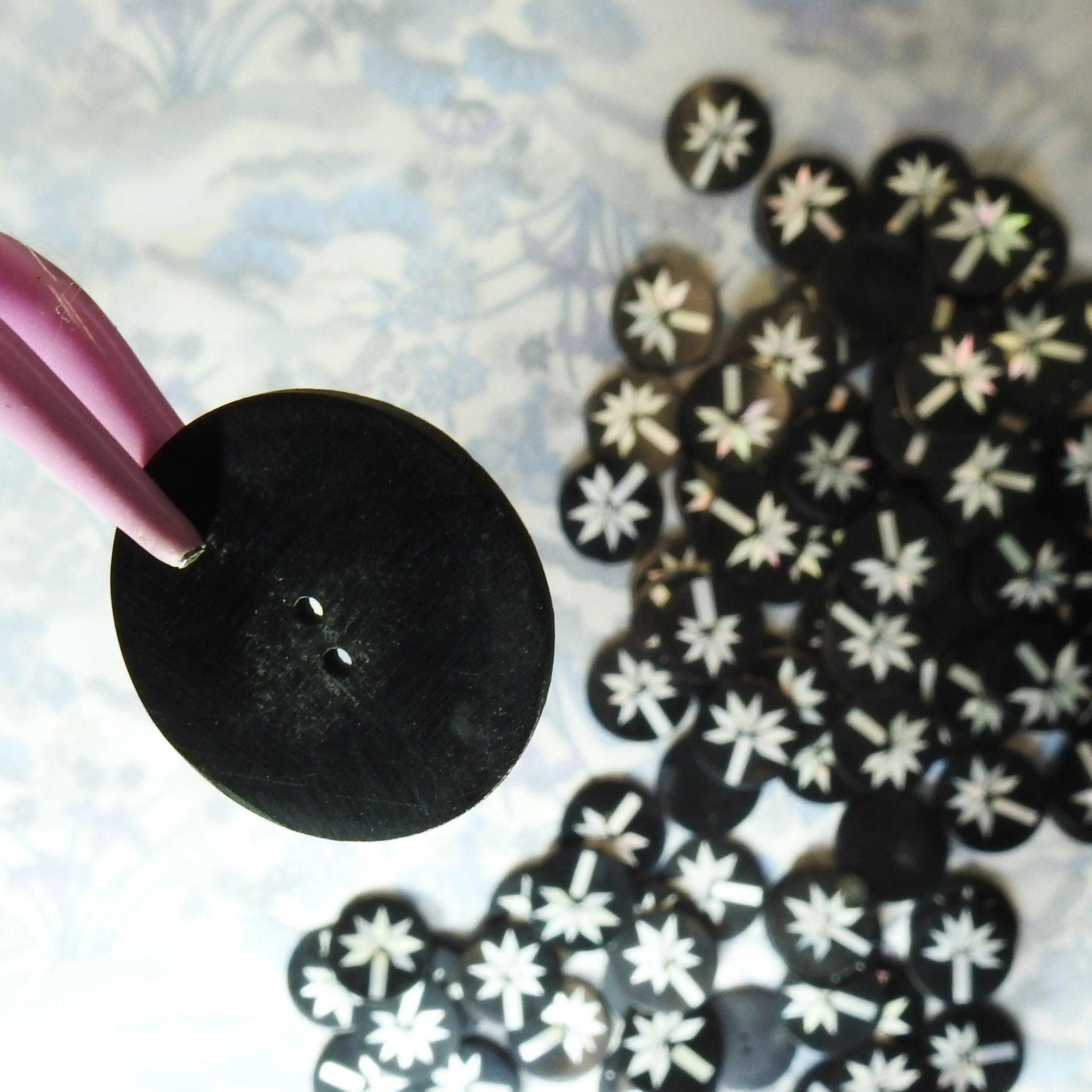 Black shell buttons