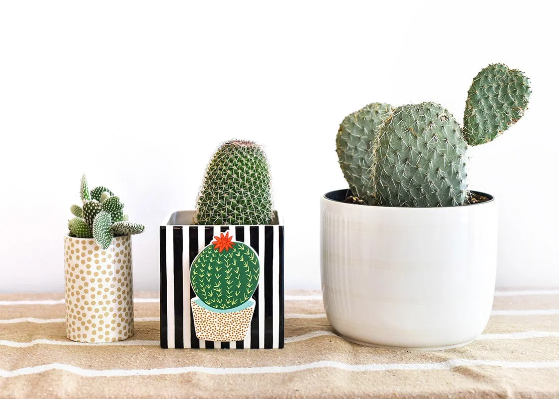 Black Stripe Nesting Cube Medium