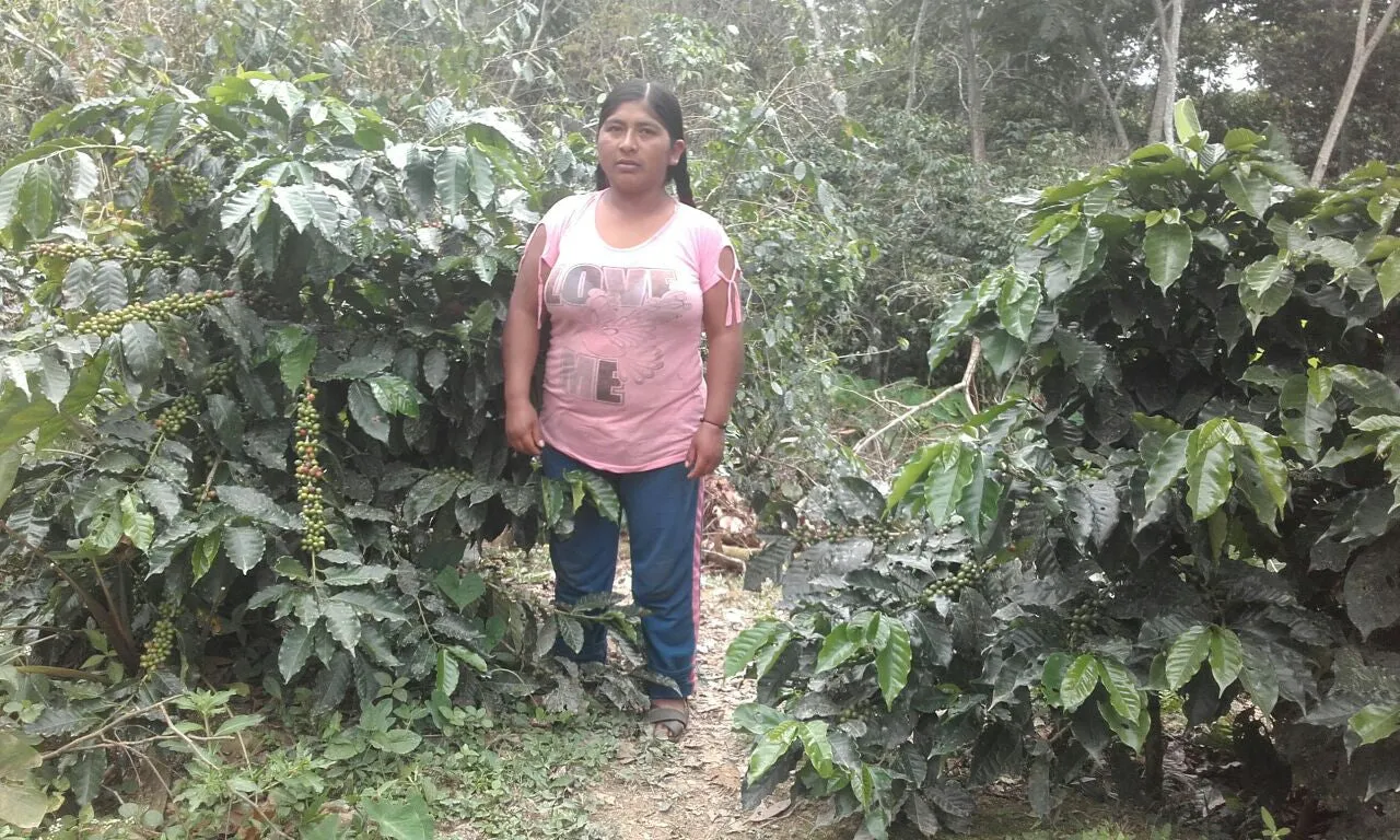 Bolivia Microlot: Carolina Villalobos (Siete Estrellas). Available at the Annex (CA), Continental (NJ) and Salisbury, MA.