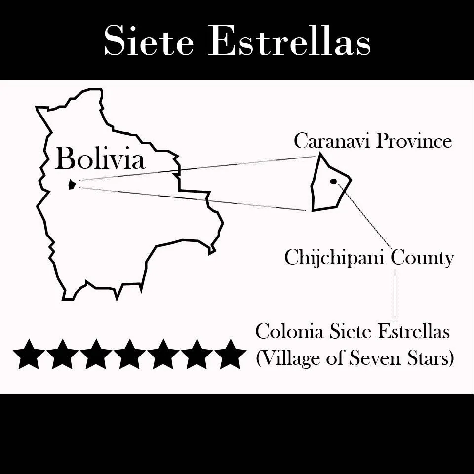 Bolivia Microlot: Carolina Villalobos (Siete Estrellas). Available at the Annex (CA), Continental (NJ) and Salisbury, MA.