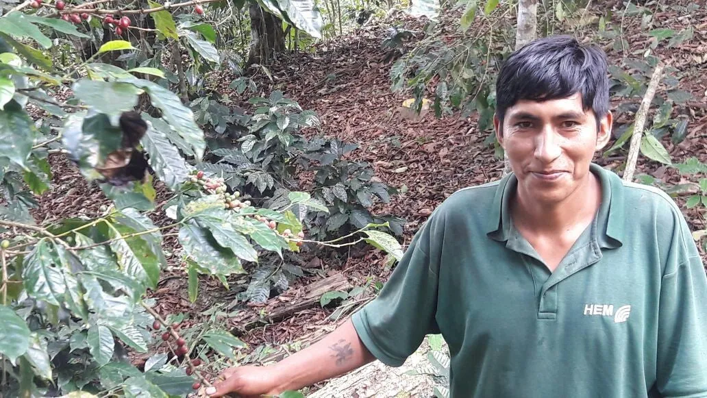 Bolivia Microlot: Carolina Villalobos (Siete Estrellas). Available at the Annex (CA), Continental (NJ) and Salisbury, MA.