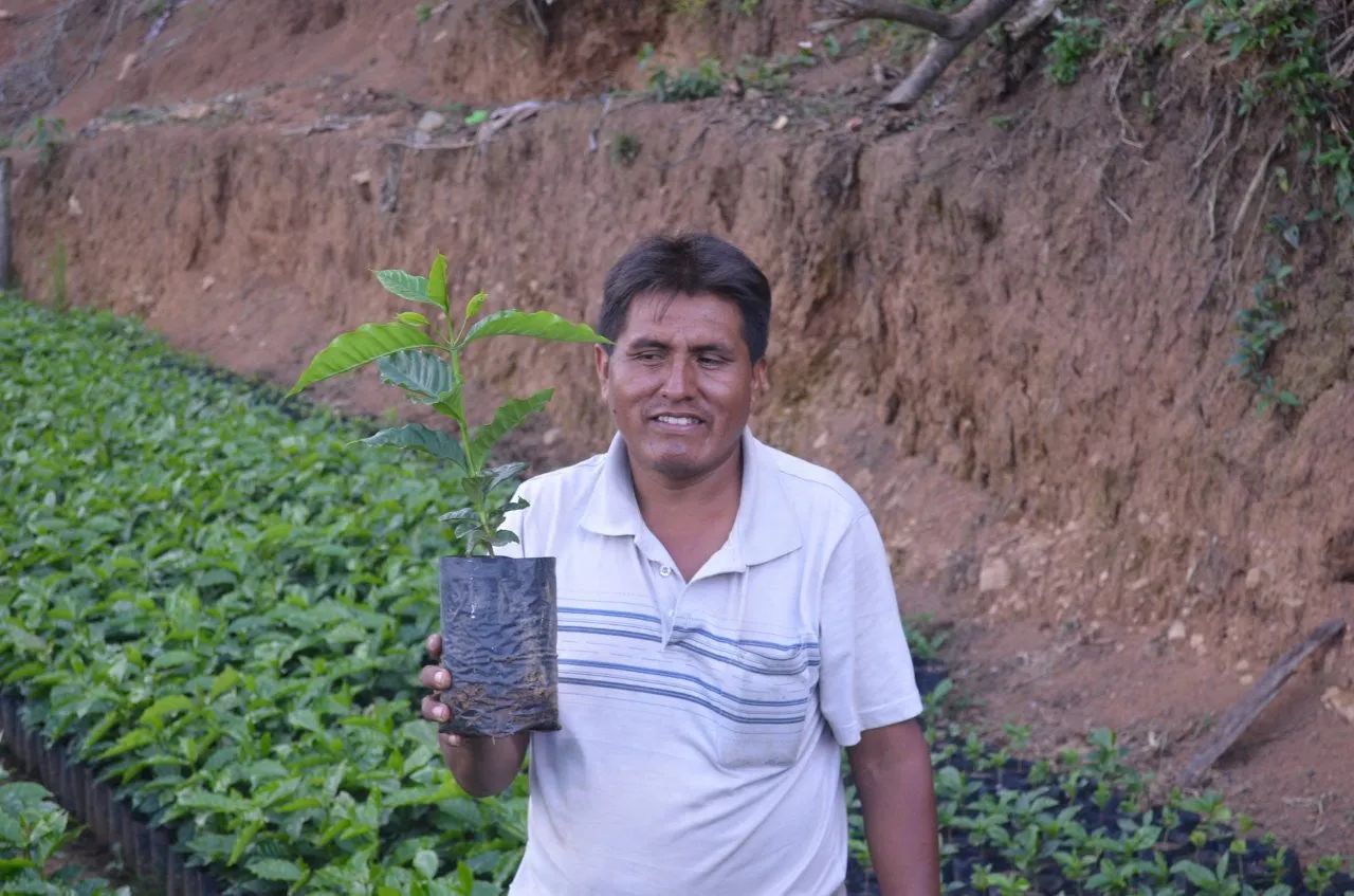 Bolivia Microlot: Celso Mayta (Café Golondrina) Available in CA, NJ and Salisbury, MA. PAST CROP