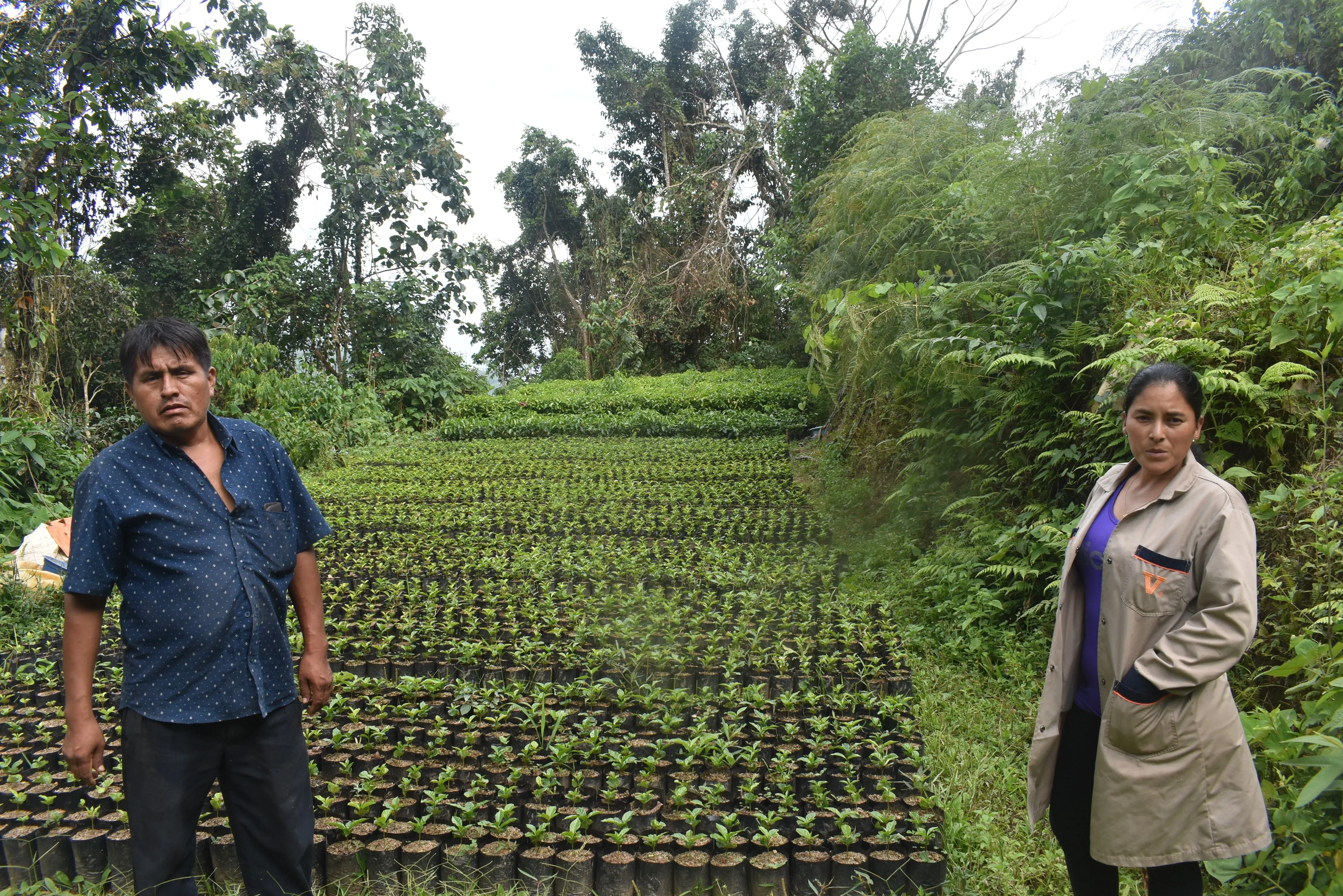 Bolivia Microlot: Celso Mayta (Café Golondrina) Available in CA, NJ and Salisbury, MA. PAST CROP