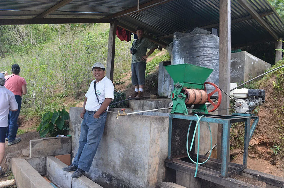 Bolivia Microlot: Celso Mayta (Café Golondrina) Available in CA, NJ and Salisbury, MA. PAST CROP
