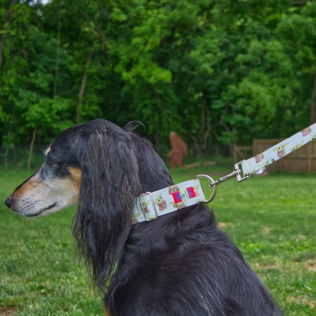 Character Themed Matching Leash