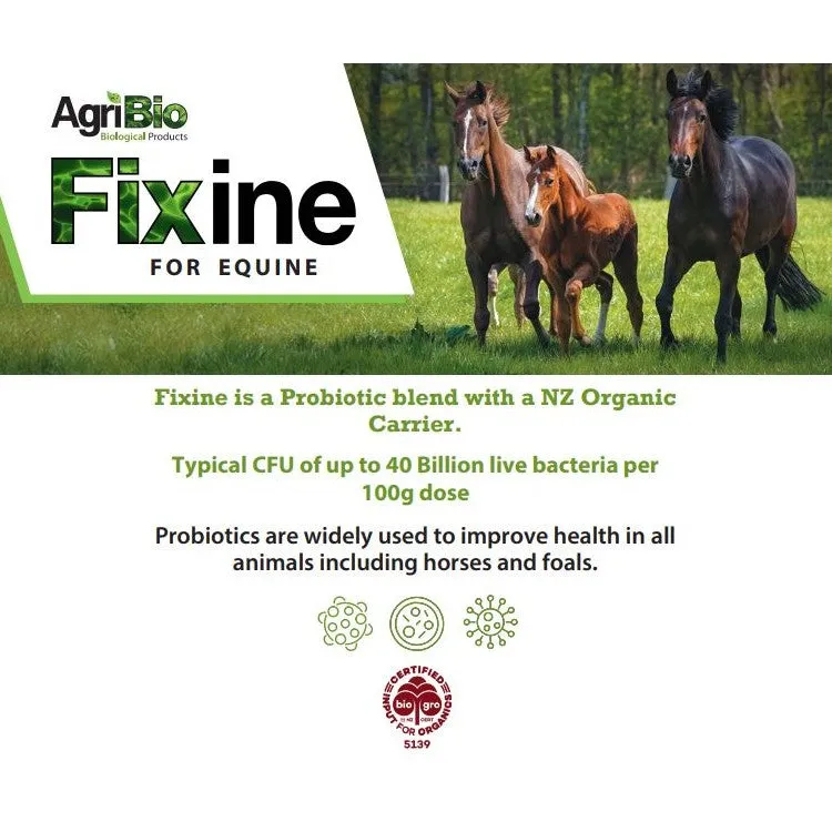 Fixine 5Kg