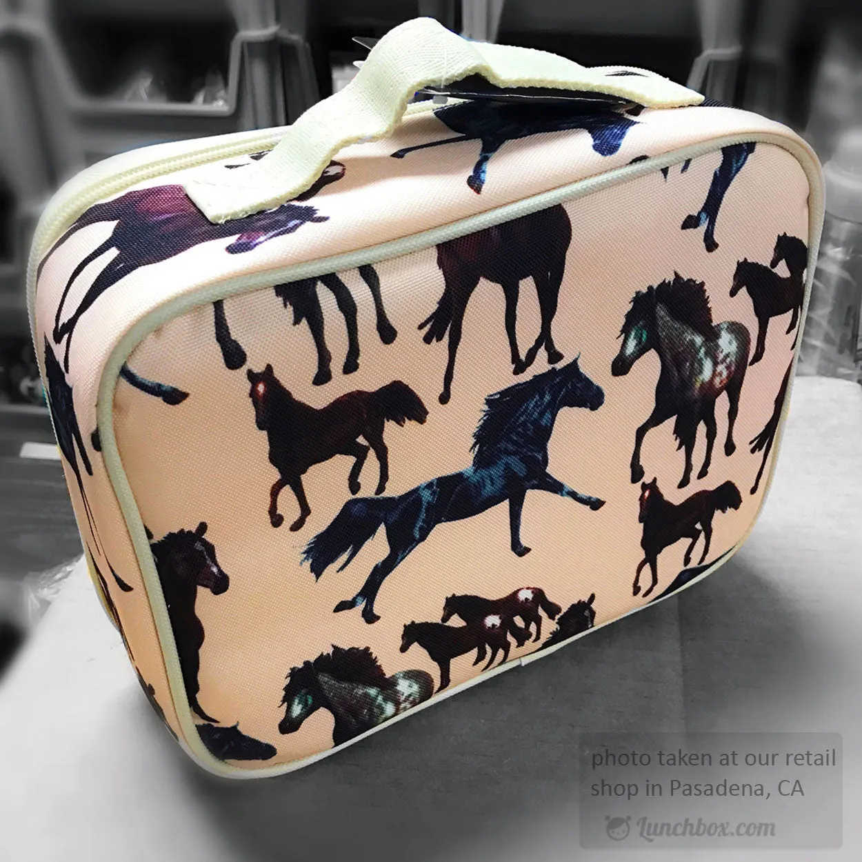Horse Dreams Lunch Box