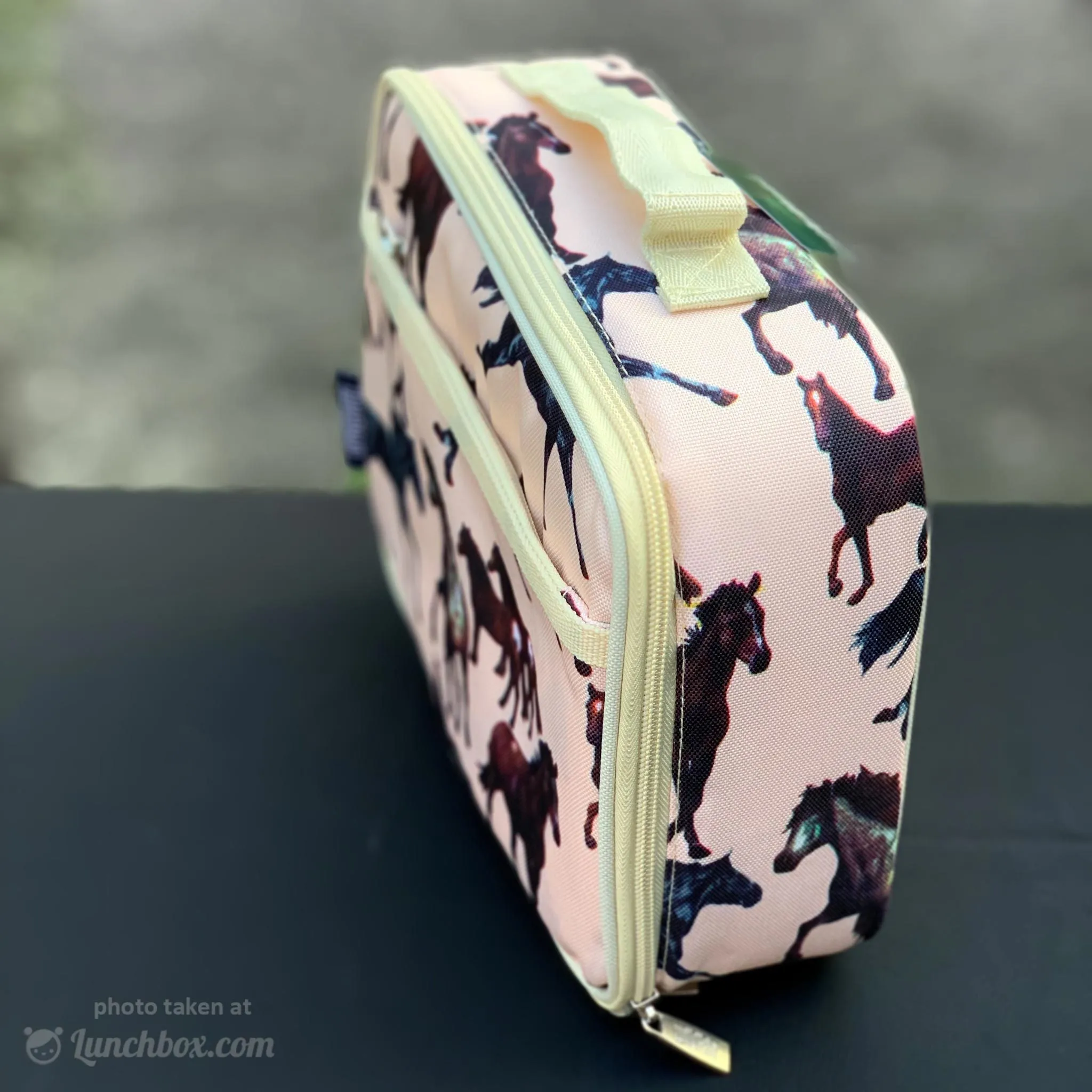 Horse Dreams Lunch Box
