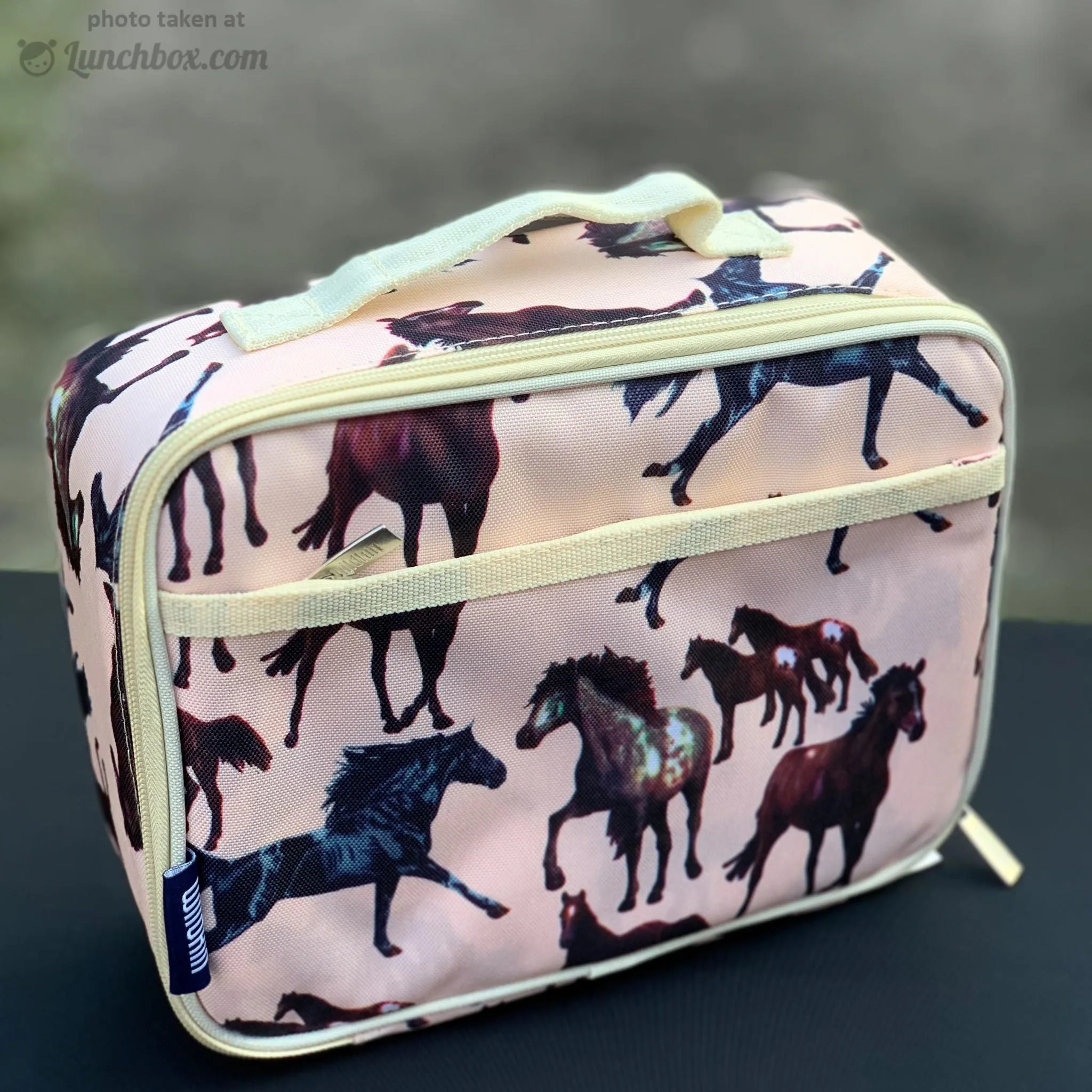 Horse Dreams Lunch Box
