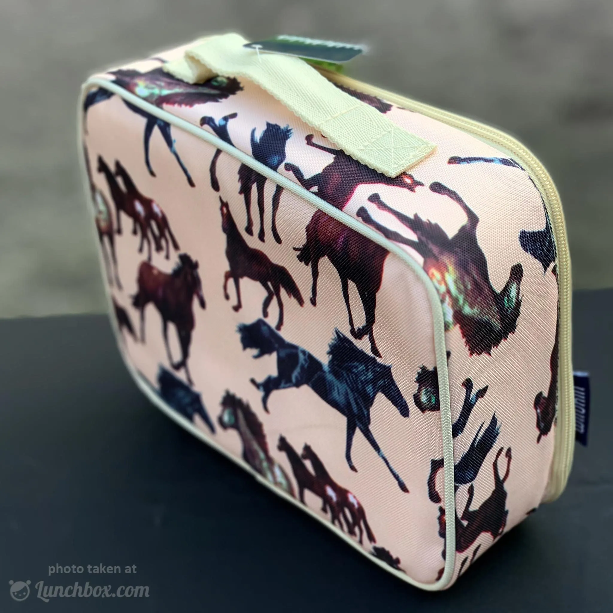 Horse Dreams Lunch Box