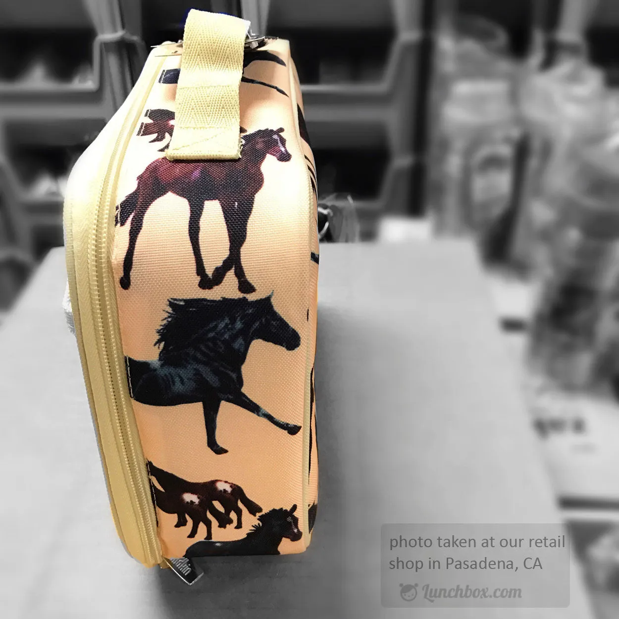 Horse Dreams Lunch Box