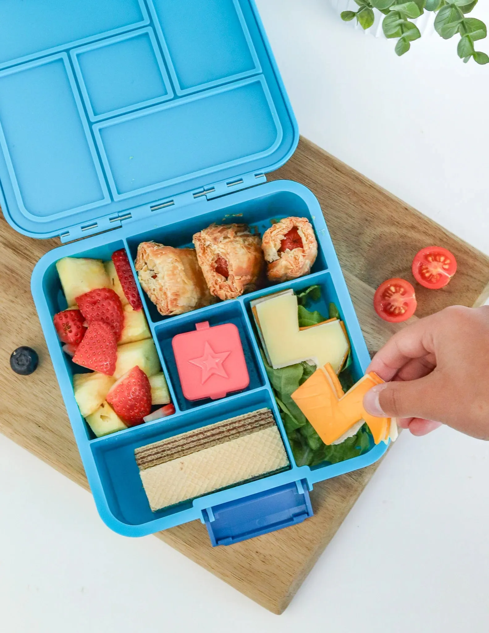 Montiico Bento Five Lunch Box - Coastal