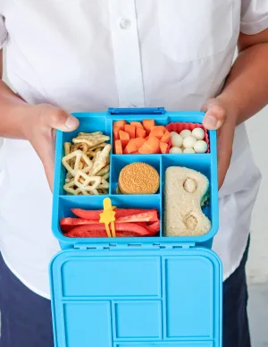 Montiico Bento Five Lunch Box - Coastal