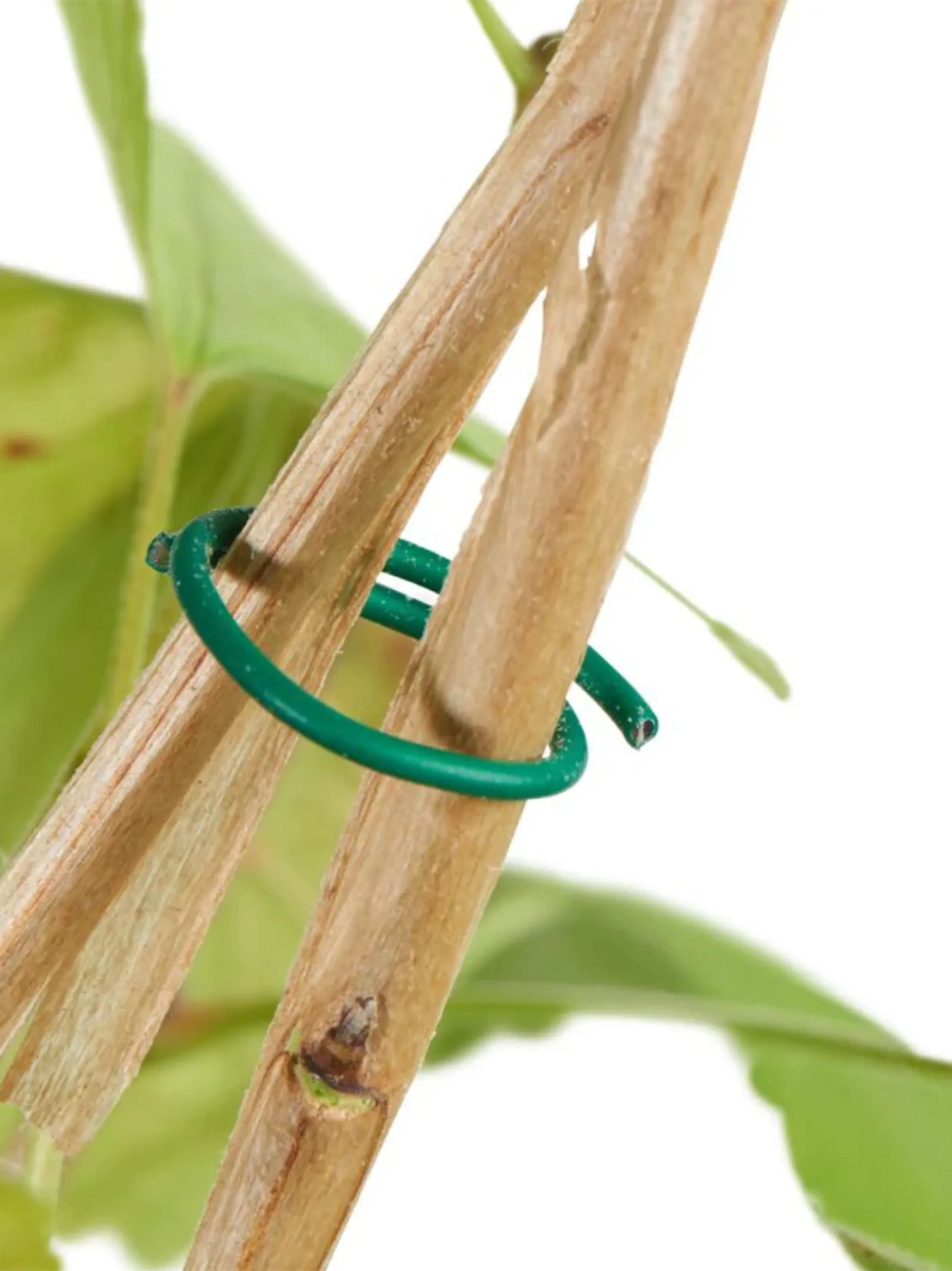 Plant Wire