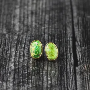 Sonoran Gold Studs No.28