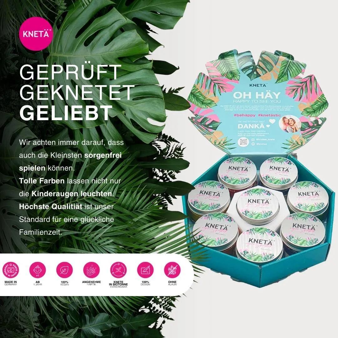 Vegane Knete 8er Dosen Set
