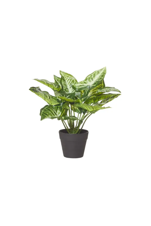 Zebra Green Garden Pot